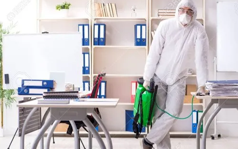 Best Home Office Pest Control Cleaning Services In Delhi